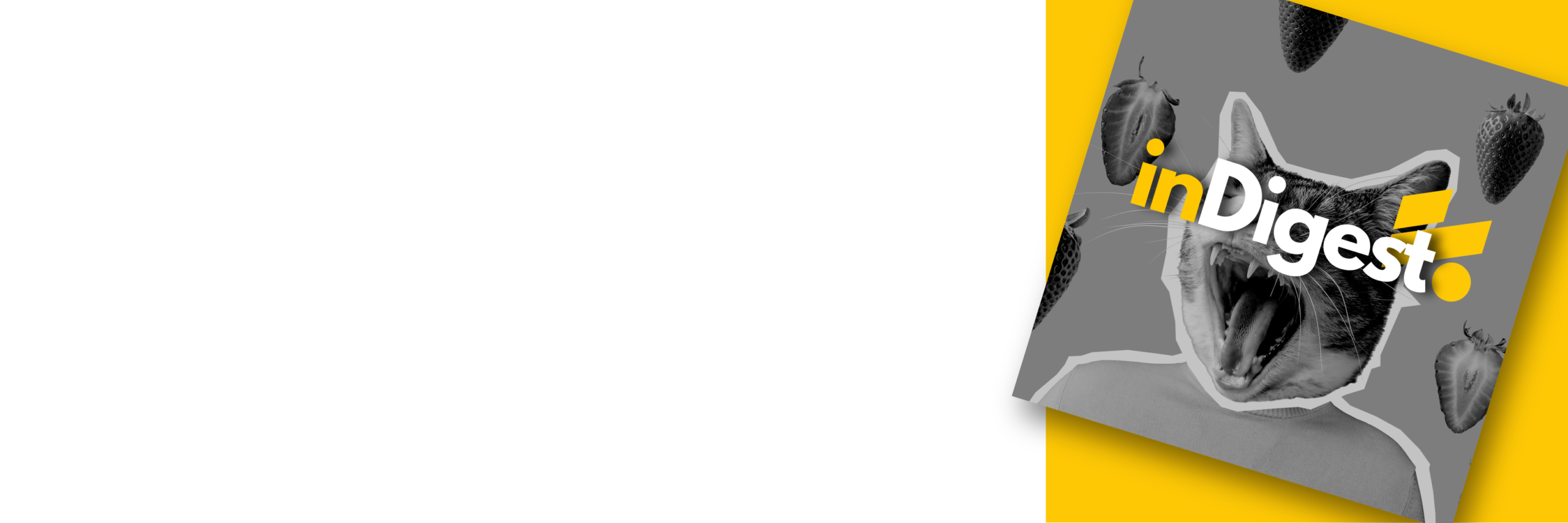 Splitrun InDigest newsletter banner